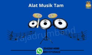 WhatsApp Image 2025-02-10 at 14.12.31 alat musik tam