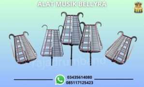 WhatsApp Image 2025-02-17 at 10.04.19 alat musik bellyra