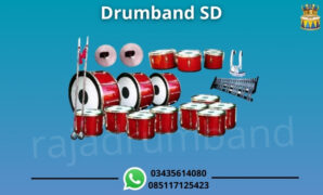 WhatsApp Image 2025-02-19 at 11.14.08