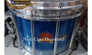 Snare Drum Hts Evans Snare Drum Hts Evans