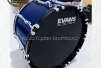 bass drum evans